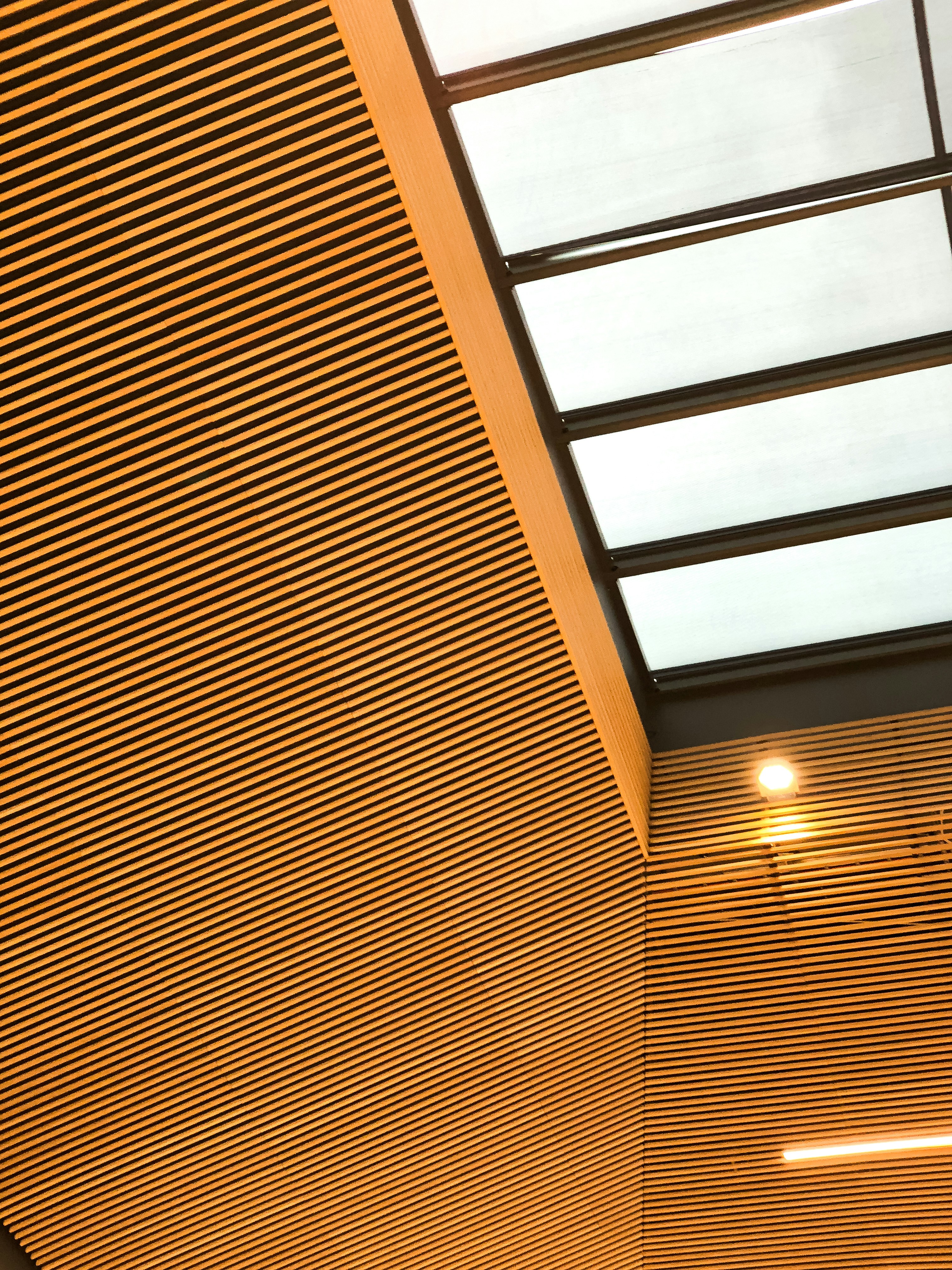 Slatted ceiling